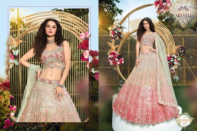 Shivali Collection Luxurious Ethnic Wear for Every Occasion