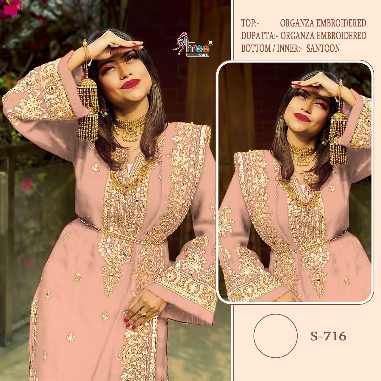 Shree FAbs Dno 176 Organza With Beautiful Work Stylish Designer Party Wear Salwar Kameez