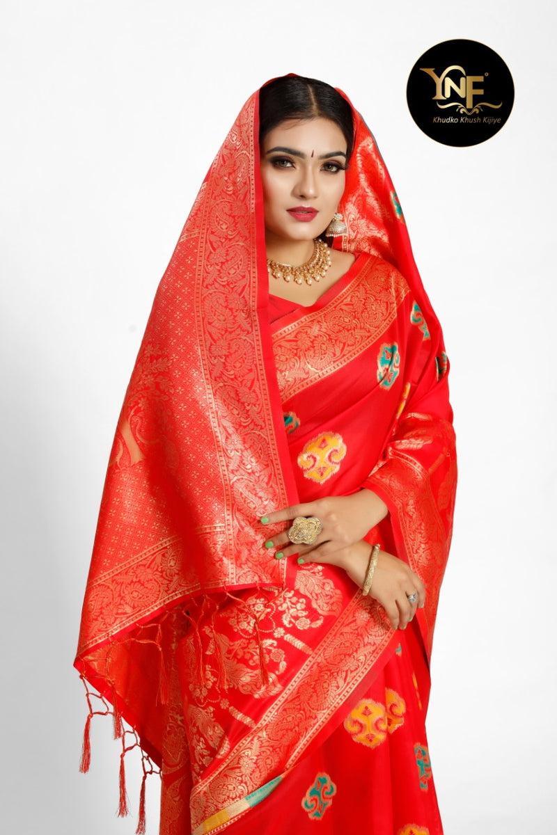 Ynf Presents By Taneira Silk Banarasi Designer Gorgeous Look Traditional Wear Fancy Sarees